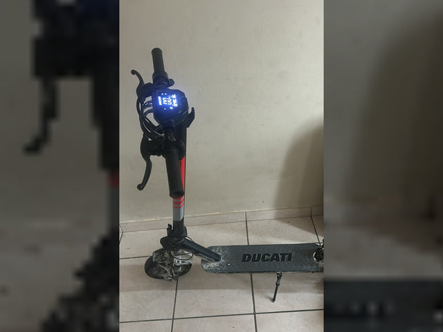 Ducati Pro-II Evo