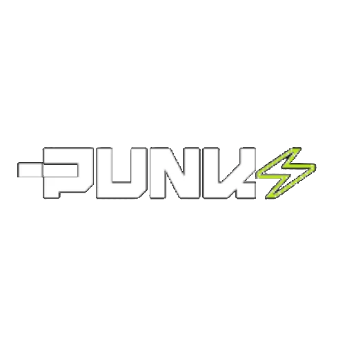 Punk